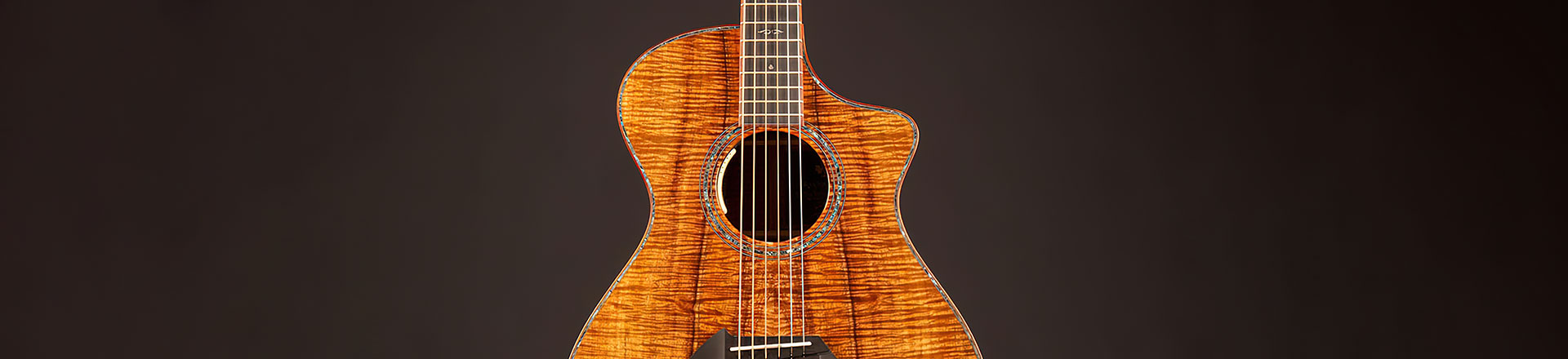 Wyjątkowy instrument na 30-tą rocznicę firmy Breedlove