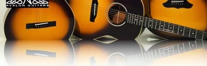 Avalon Guitars w Music Partners