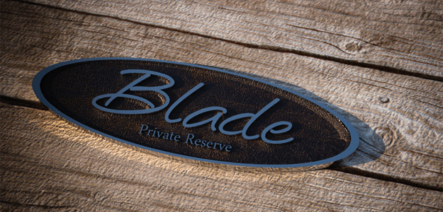 Blade Guitars i jego tajniki konstrukcyjne.